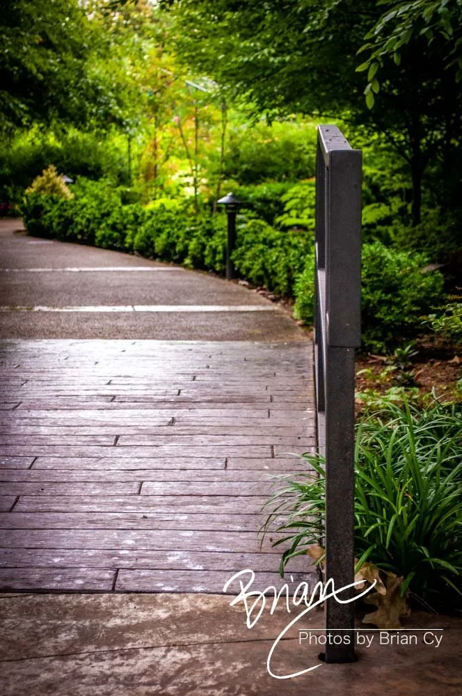 LoRes_WM_20180620_Memphis_Botanical_Gardens_Edit-9958.jpg