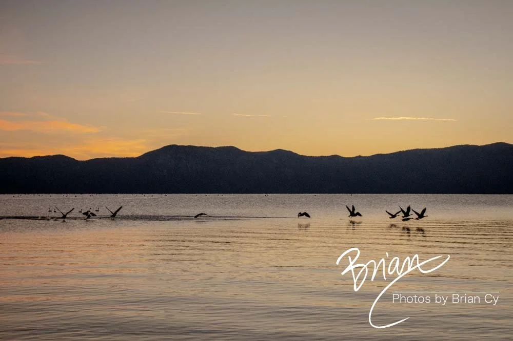 LoRes_WM_20201014_Tahoe_Edit-9234.jpg