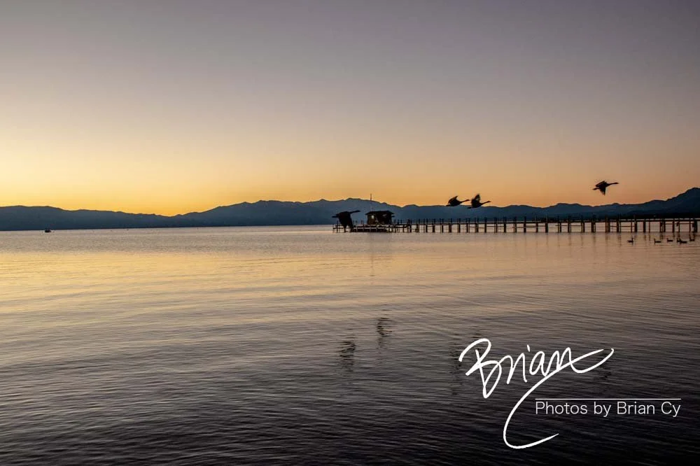 LoRes_WM_20201014_Tahoe_Edit-9297.jpg