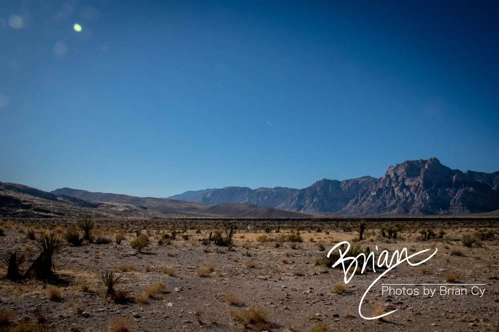 LoRes_WM_20191113_RedRockCanyon_Edit-8306.jpg