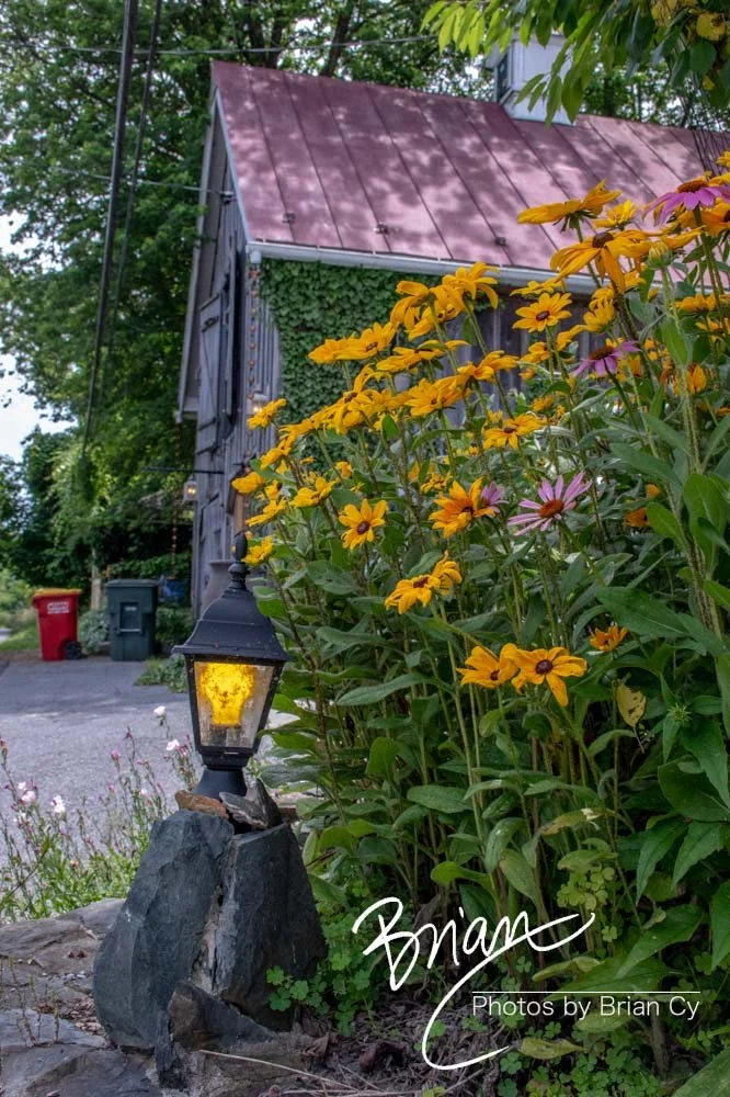 LoRes_WM_20210618_HarpersFerry_Edit-1385.jpg