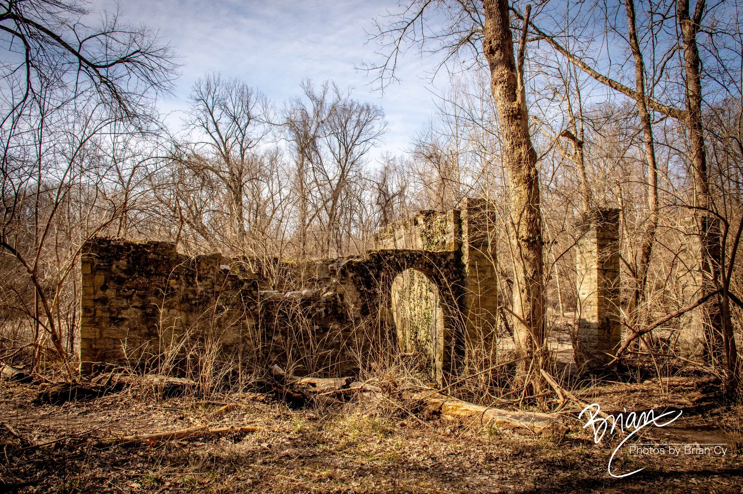 LoRes_WM_20250308_StLouis_Edit-0463.jpg