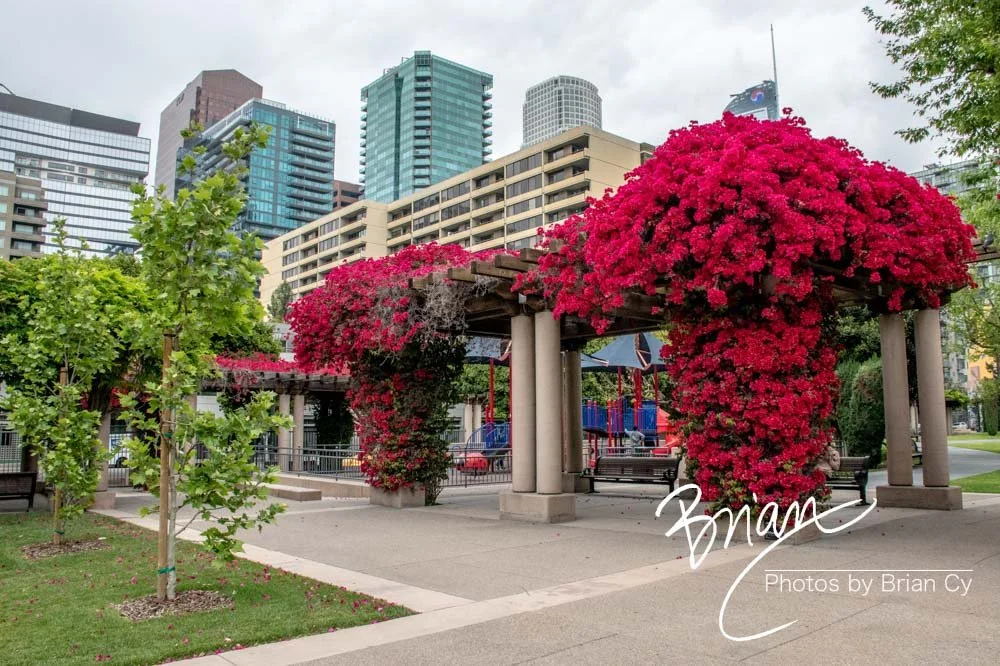 LoRes_WM_20190420_LosAngeles_Edit-2531.jpg