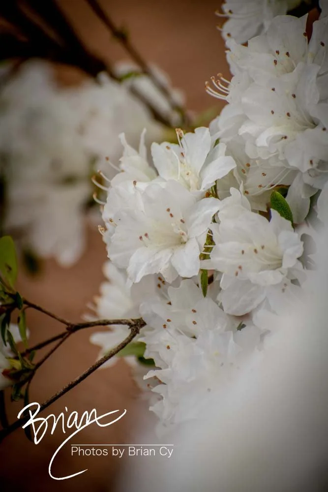 LoRes_WM_20190406_Atlanta_Edit-7171.jpg