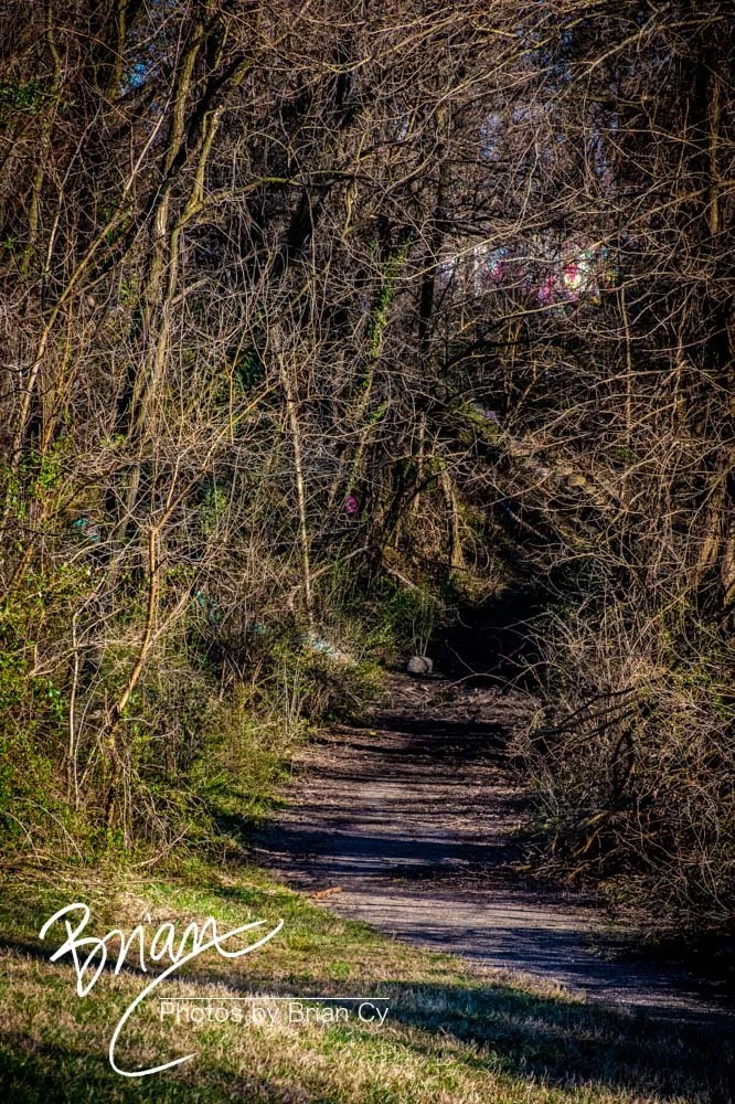 LoRes_WM_20220319_Fort_Armistead_Park_Edit-3251.jpg
