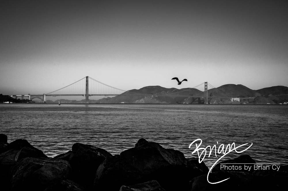 LoRes_WM_20201021_SanFrancisco_Edit-1324.jpg