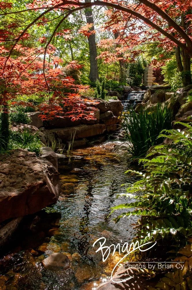 LoRes_WM_20160408_Dallas_Edit-9990.jpg
