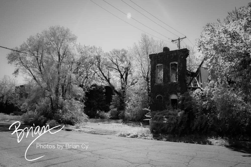 LoRes_WM_20240414_StLouis_Edit-5253.jpg
