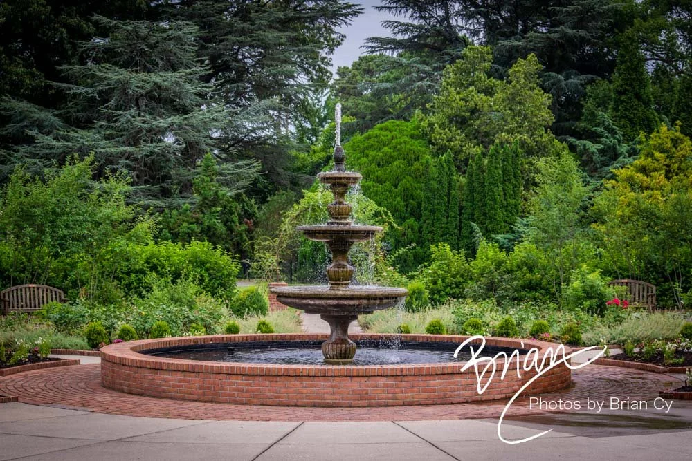 LoRes_WM_20180620_Memphis_Botanical_GardensA_Edit-0303.jpg