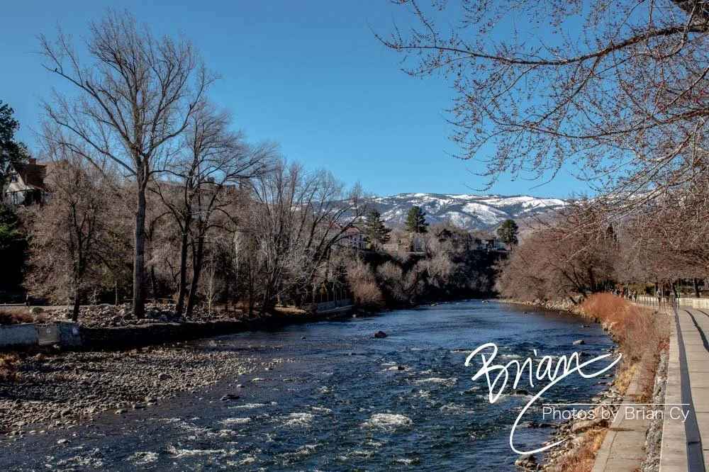 LoRes_WM_20200208_Reno_Edit-0951.jpg