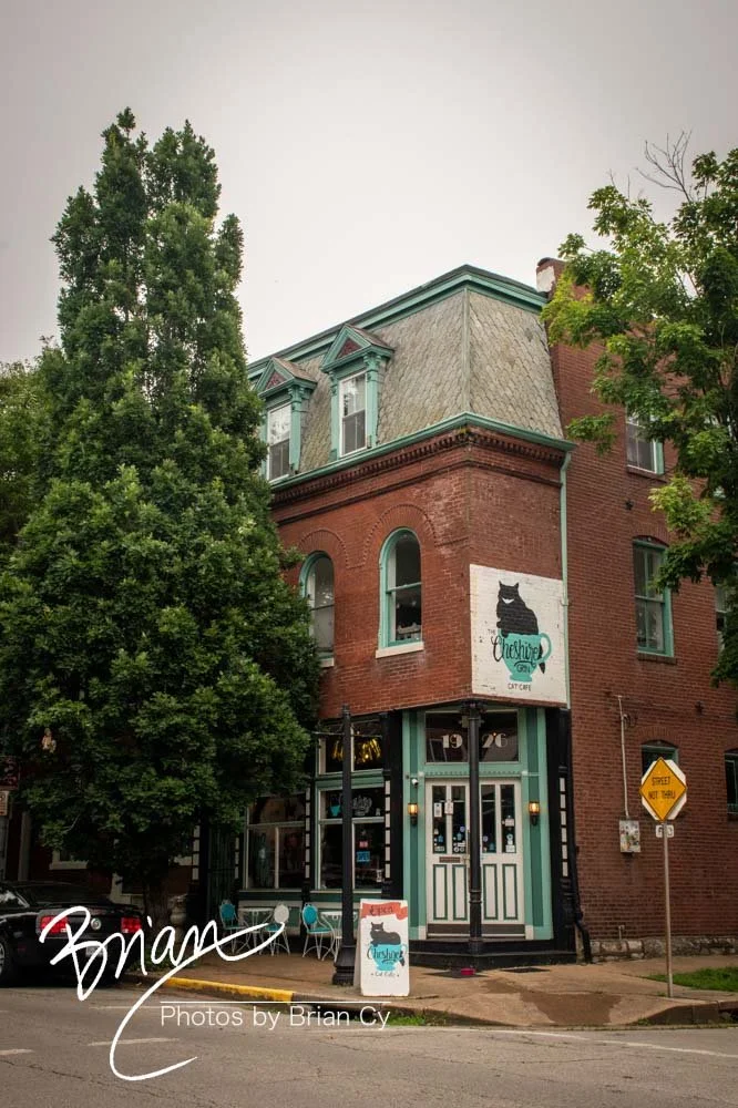 LoRes_WM_20240609_StLouis_Edit-2406.jpg