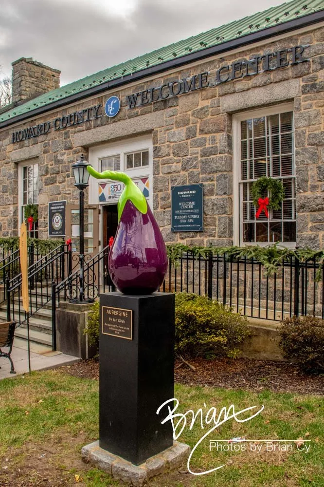 LoRes_WM_20221217_EllicottCity_Edit-8485.jpg