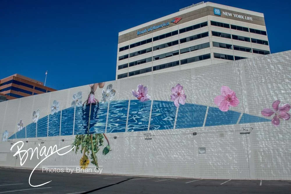 LoRes_WM_20200208_Reno_Edit-0780.jpg