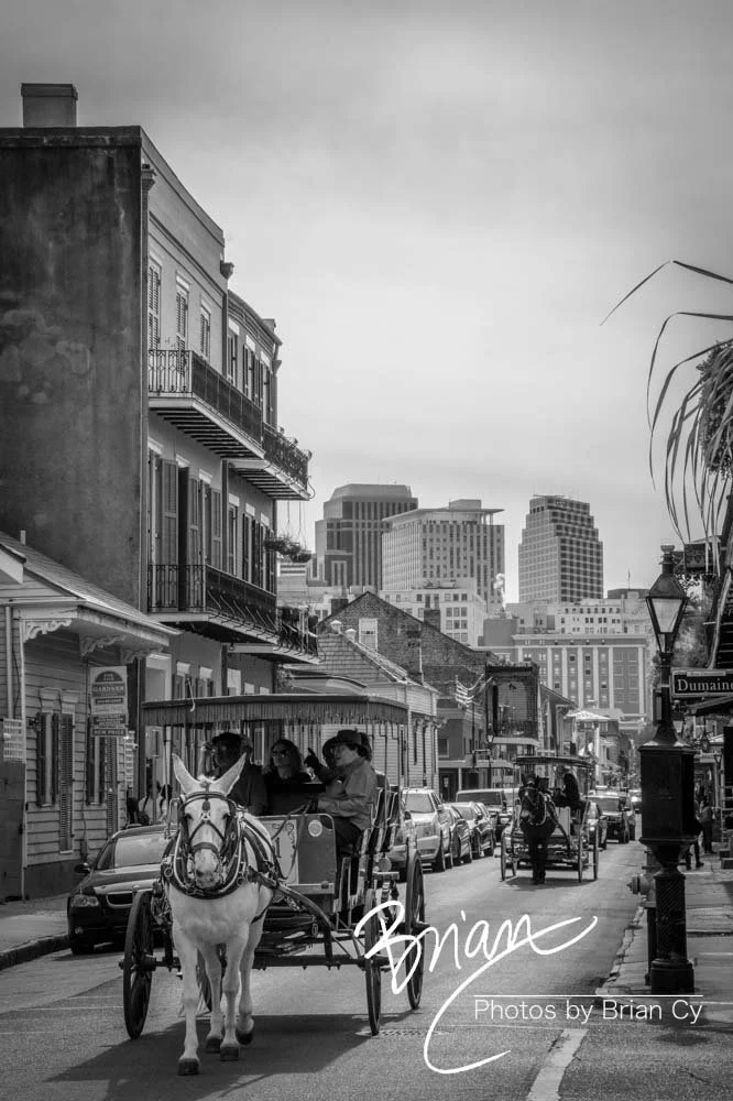 LoRes_WM_20191105_NewOrleans_Edit-7981.jpg