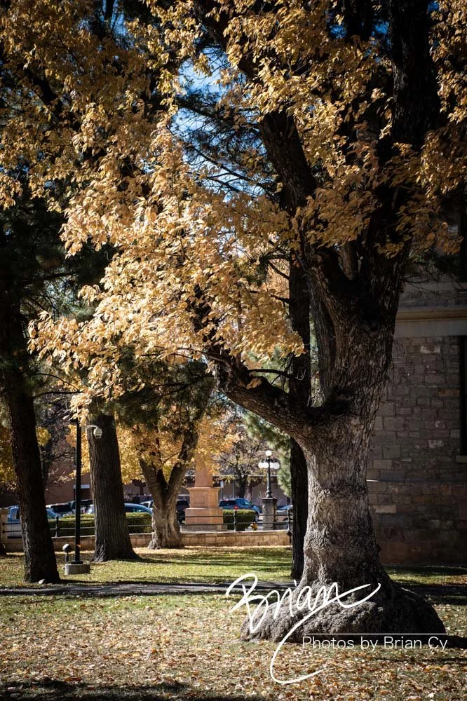 LoRes_WM_20191108_SantaFe_Edit-2309.jpg