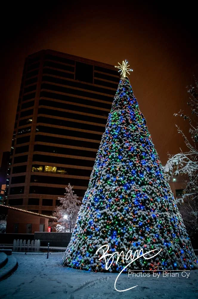 LoRes_WM_20101225_Greensboro_Edit-9338.jpg