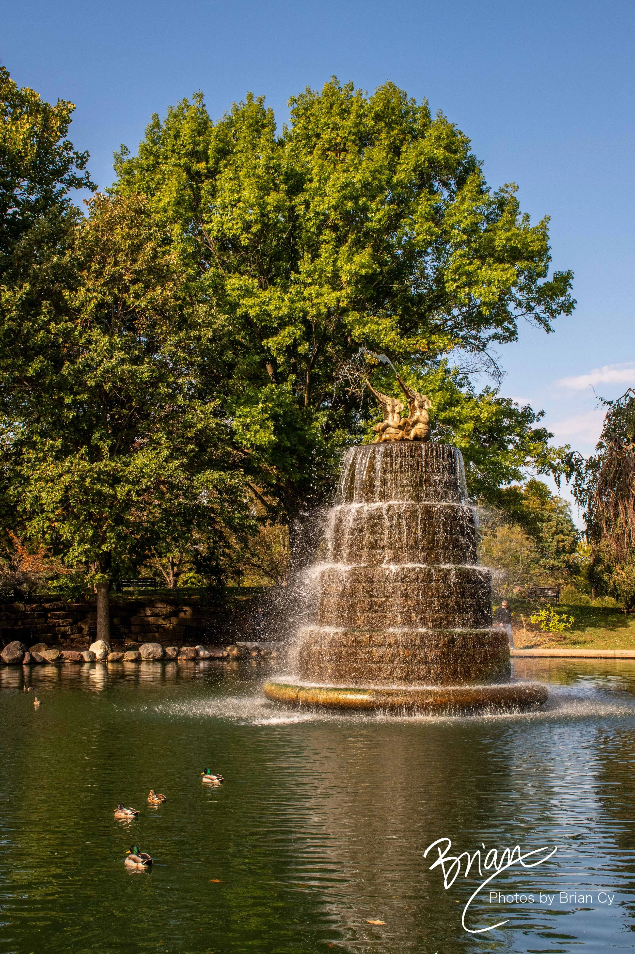 LoRes_WM_20251010_Columbus_Edit-5500.jpg