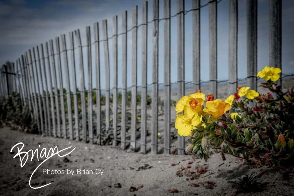 LoRes_WM_20190421_PacificPalisades_Edit-5281.jpg