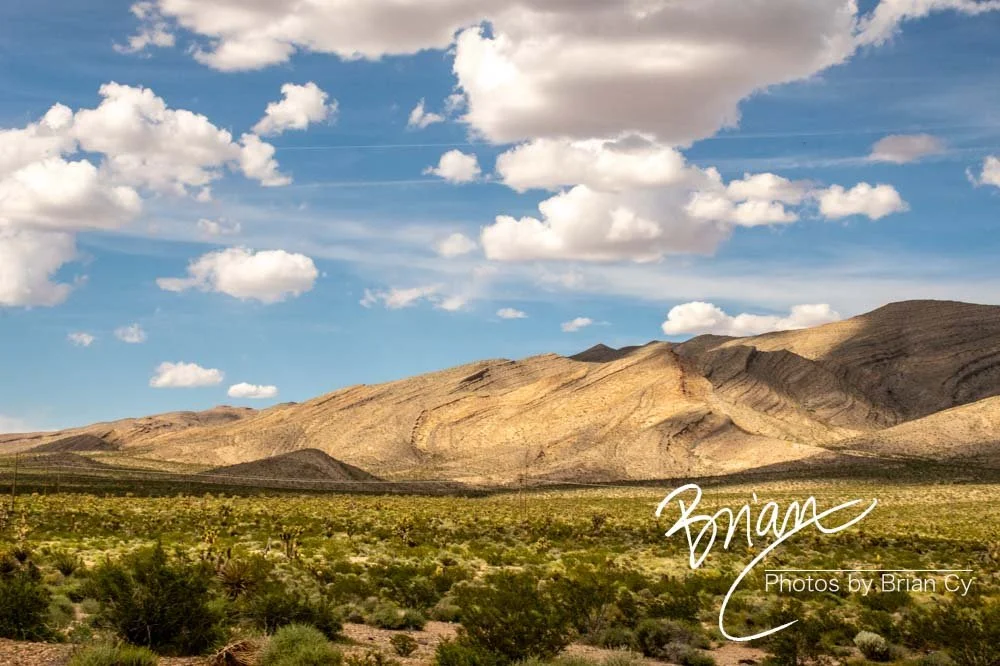 LoRes_WM_20190425_Goodsprings_Edit-1233.jpg