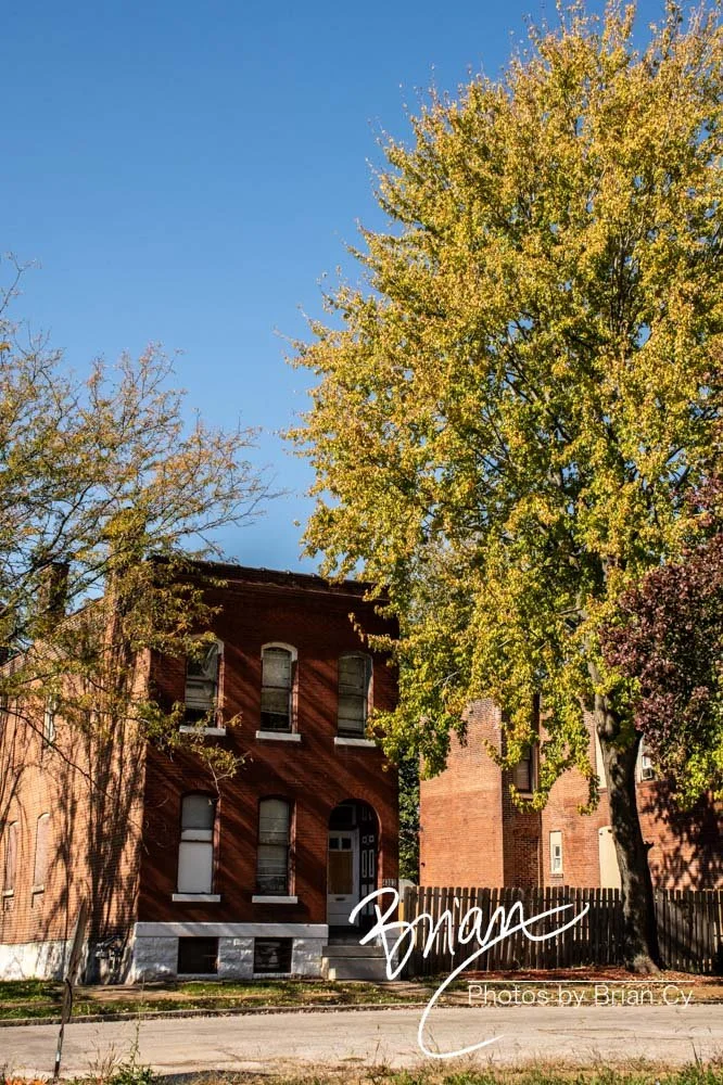 LoRes_WM_20241019_StLouis_Edit-2291.jpg