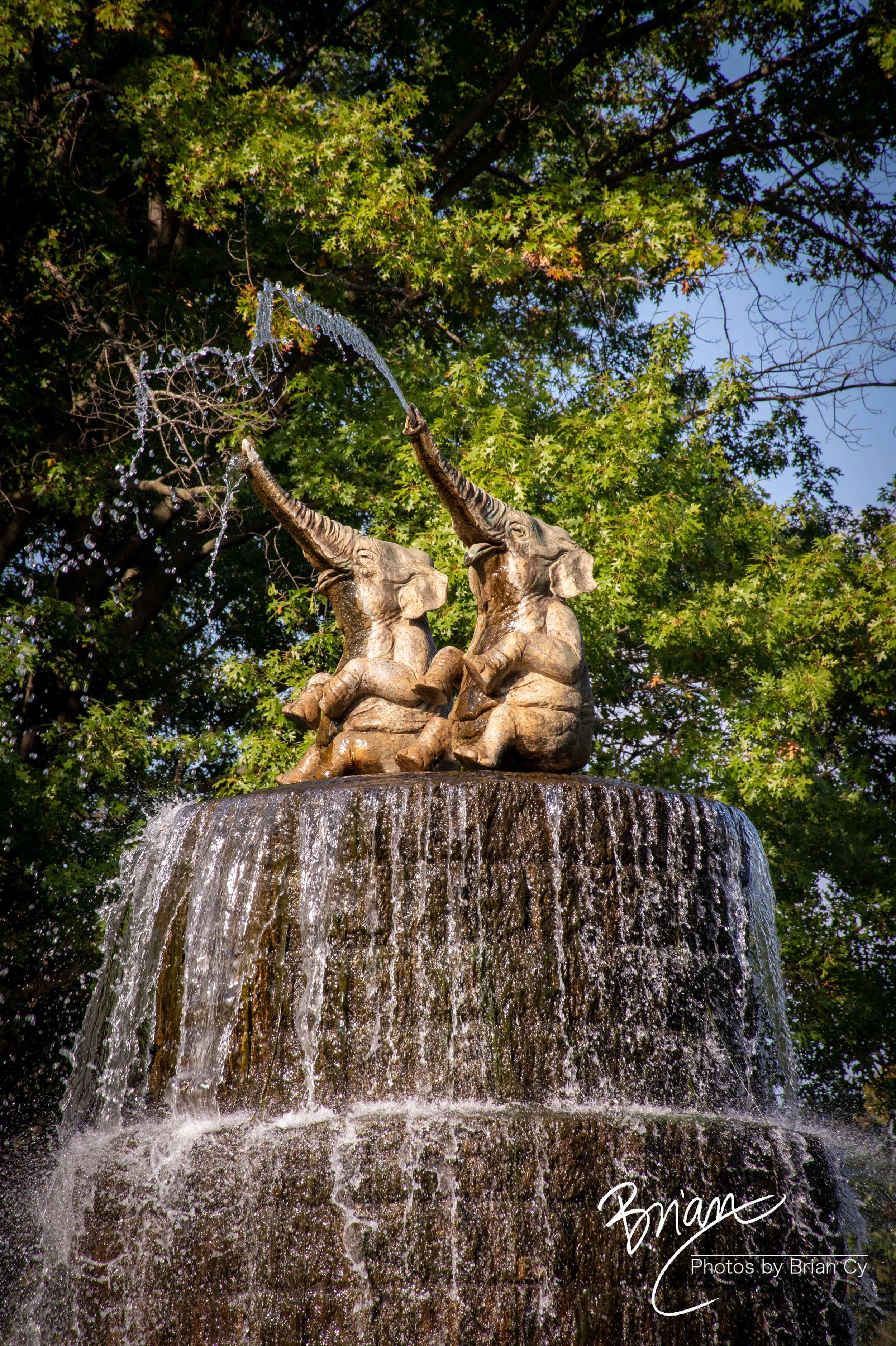 LoRes_WM_20251010_Columbus_Edit-5506.jpg