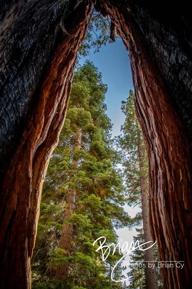 LoRes_WM_20191012_Tahoe_Edit-6291.jpg