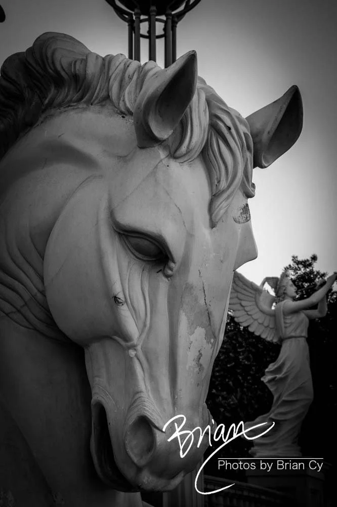LoRes_WM_20190424_LasVegas_Edit-9131.jpg
