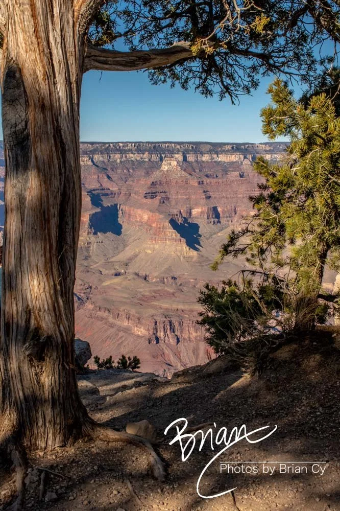 LoRes_WM_20191112_GrandCanyon_Edit-7585.jpg