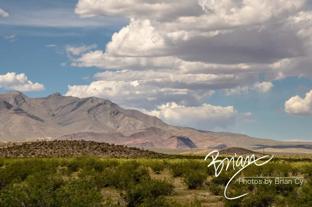 LoRes_WM_20190425_Goodsprings_Edit-0748.jpg
