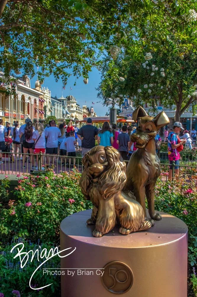 LoRes_WM_20230704_TheFam_Disney_Edit-6617.jpg