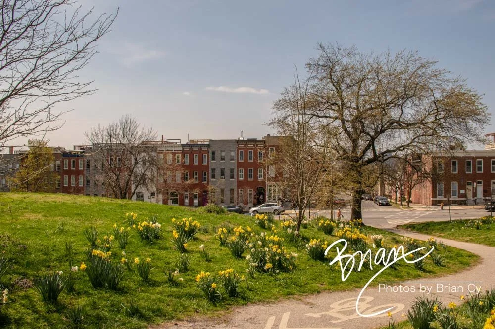 LoRes_WM_20210408_Baltimore_Edit-5683.jpg