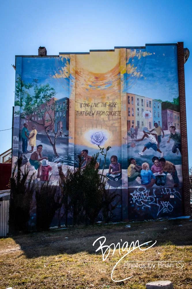 LoRes_WM_20210225_Baltimore_Edit-4893.jpg