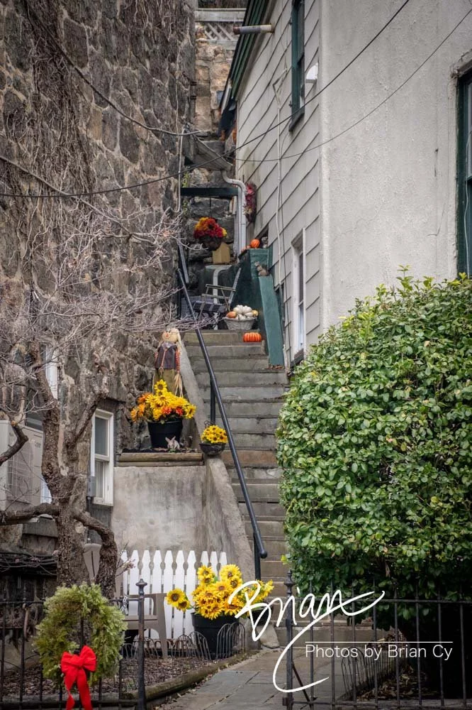 LoRes_WM_20221217_EllicottCity_Edit-8200.jpg