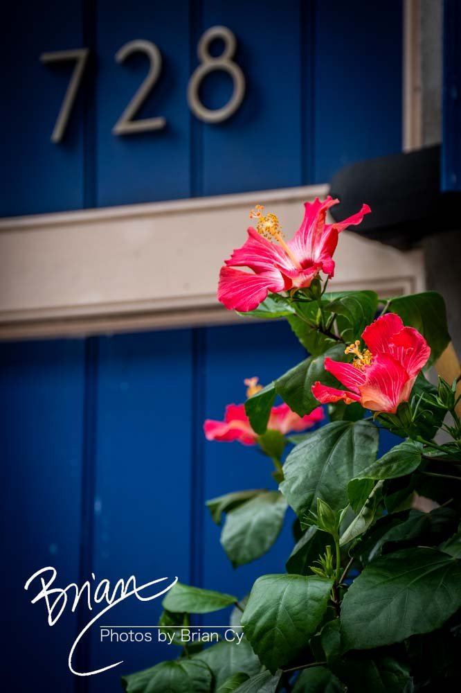 LoRes_WM_20191105_NewOrleans_Edit-7826.jpg