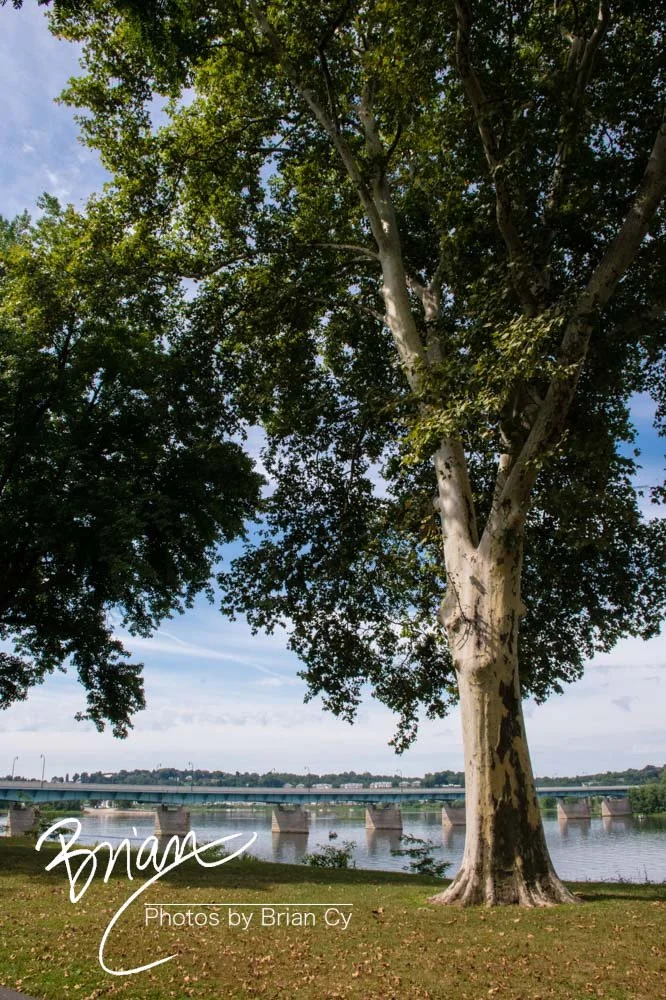 LoRes_WM_20220731_Harrisburg_Edit-4904.jpg