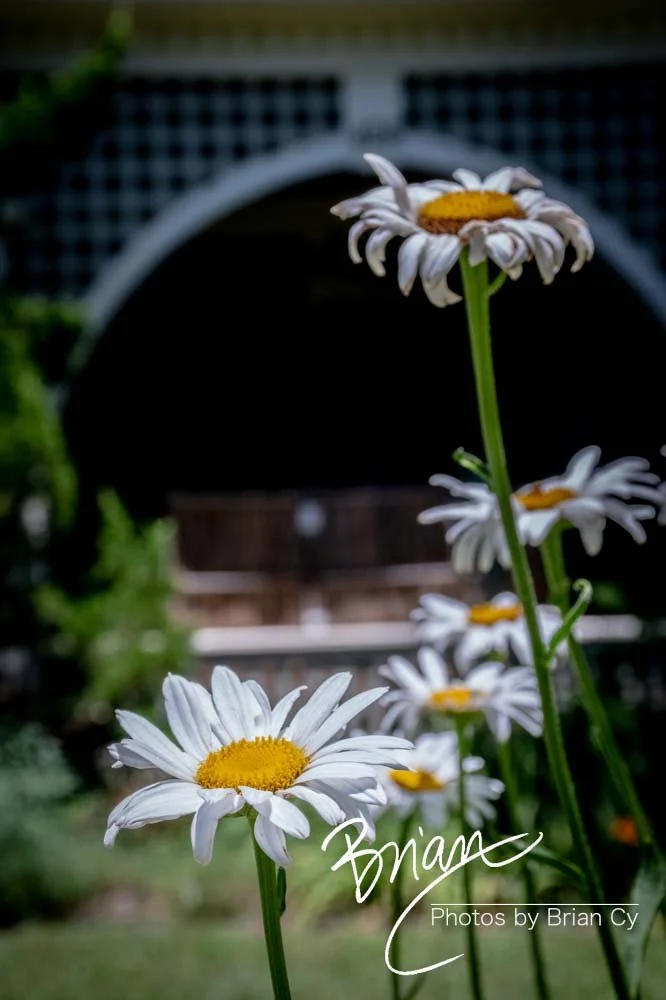 LoRes_WM_20190528_Decatur_Edit-2737.jpg