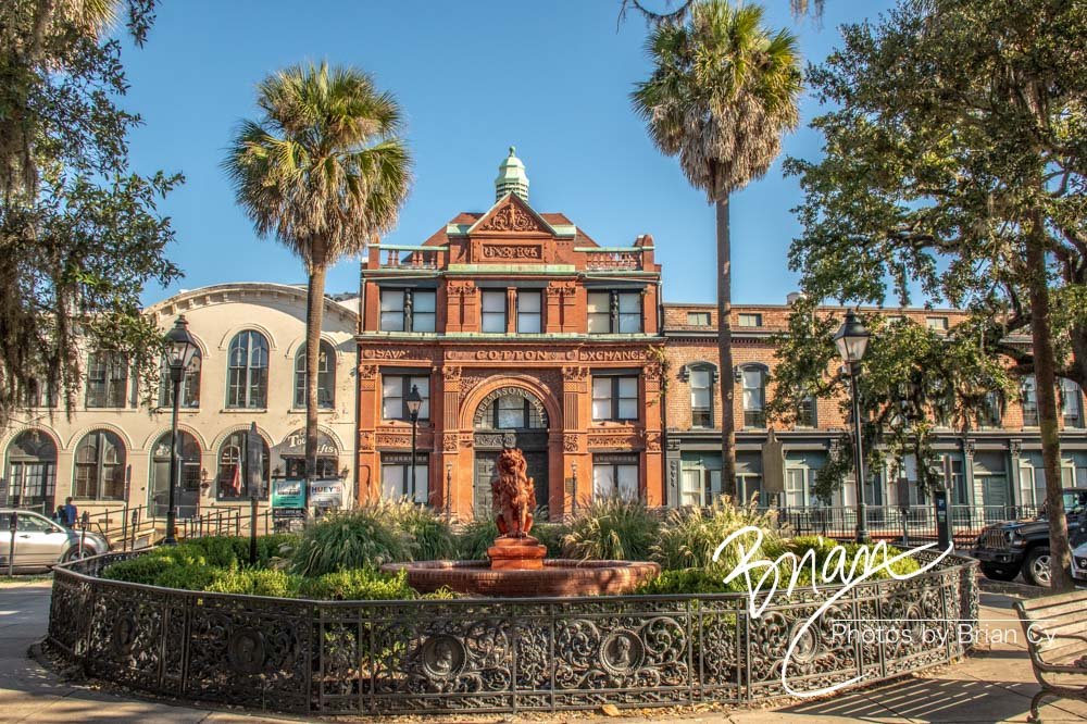 LoRes_WM_20191028_Savannah_Edit-0748.jpg