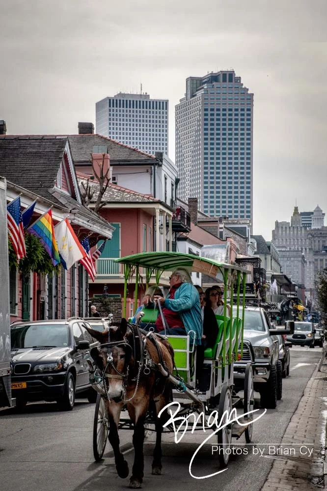 LoRes_WM_20191105_NewOrleans_Edit-7882.jpg