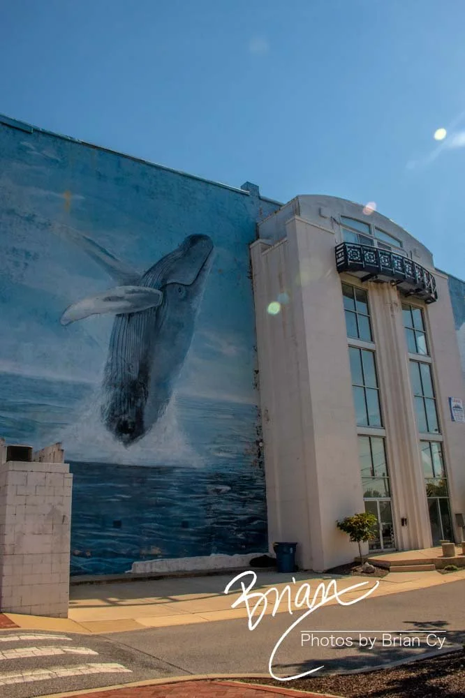 LoRes_WM_20220820_Wilmington_Edit-6237.jpg