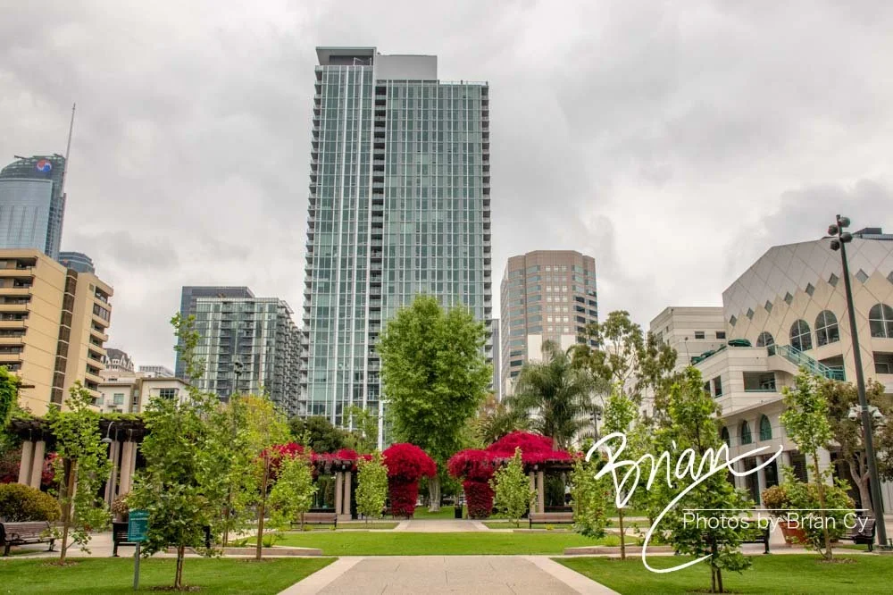 LoRes_WM_20190420_LosAngeles_Edit-2509.jpg