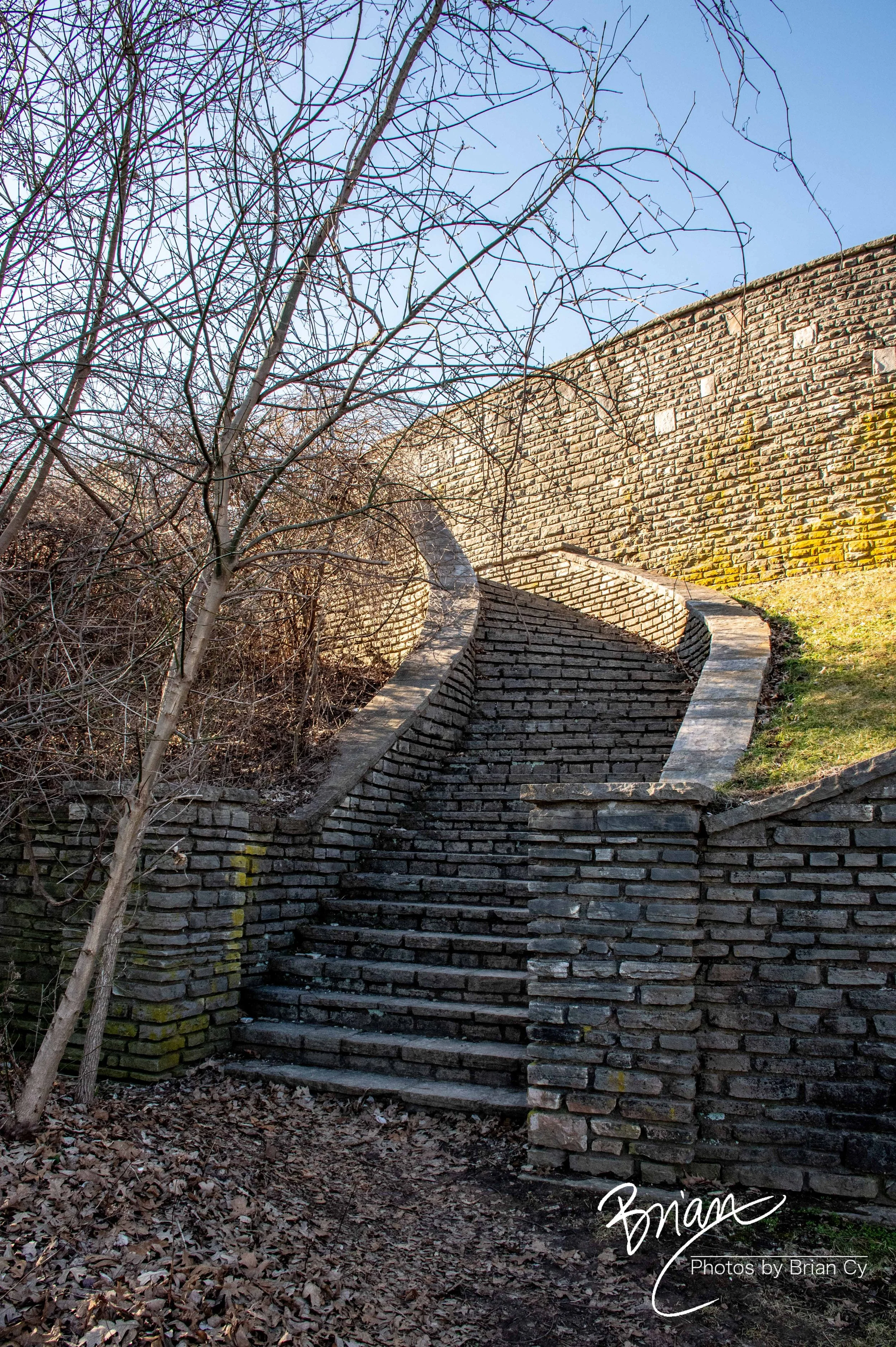 LoRes_WM_20250308_StLouis_Edit-0166.jpg