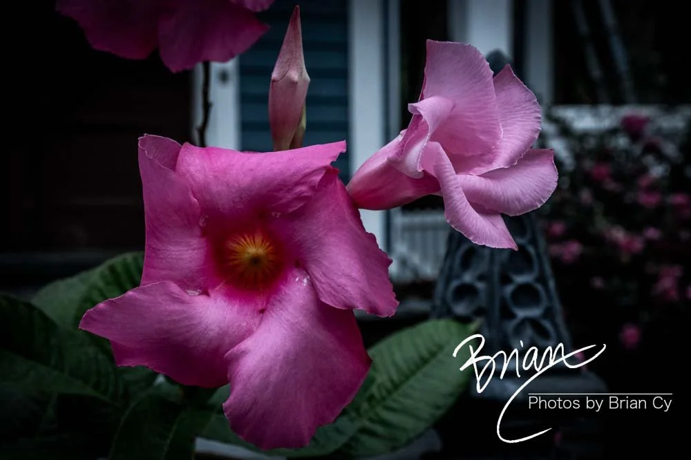 LoRes_WM_20191029_Wilmington_Edit-3100.jpg