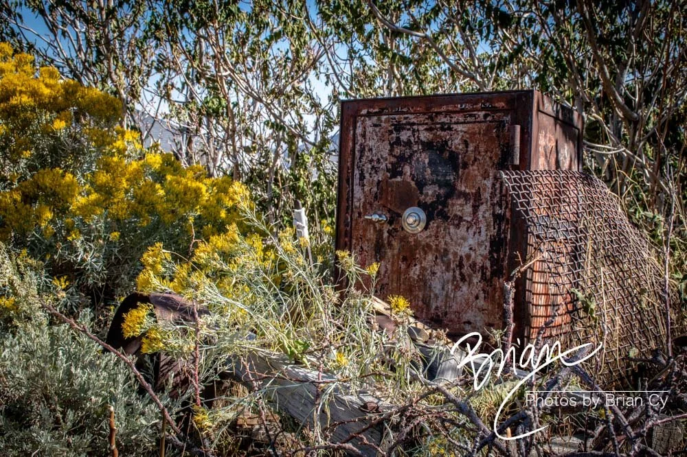 LoRes_WM_20191014_VirginiaCity_Edit-7871.jpg