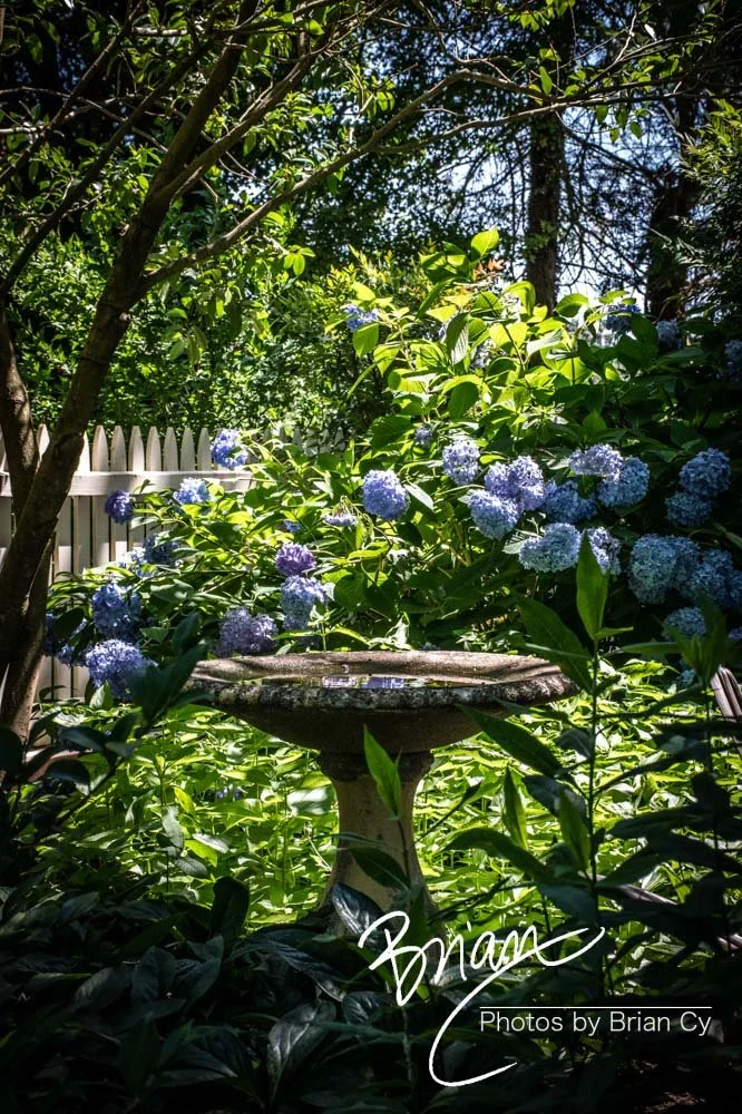 LoRes_WM_20190611_WinstonSalem_Edit-0809.jpg