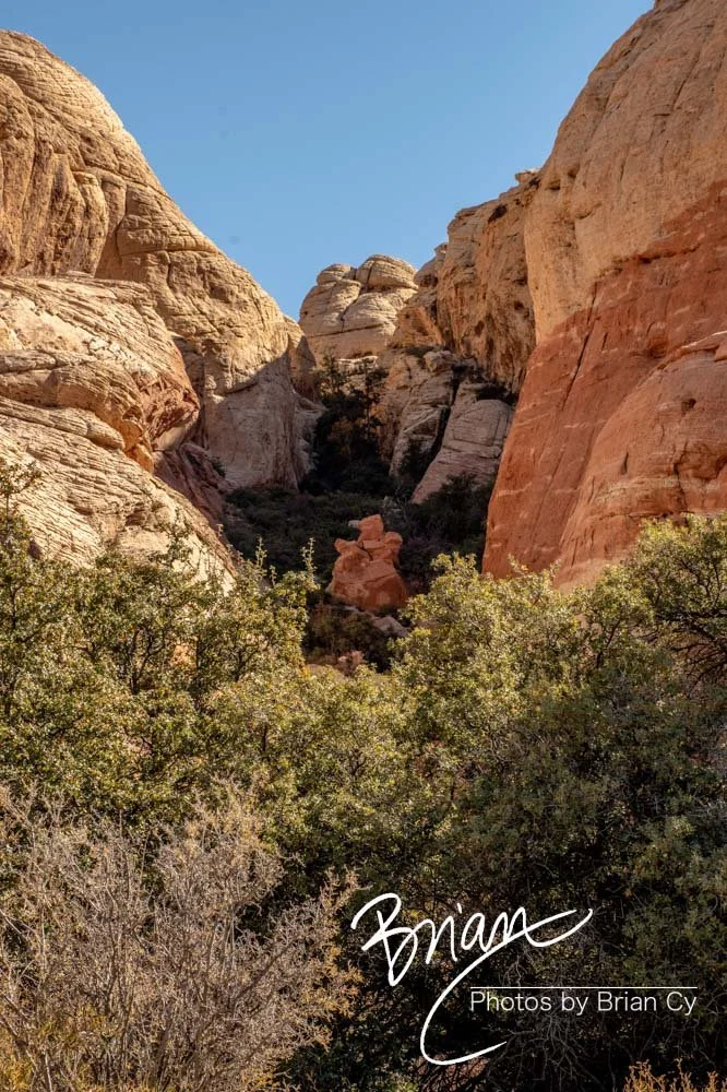 LoRes_WM_20191113_RedRockCanyon_Edit-8969.jpg