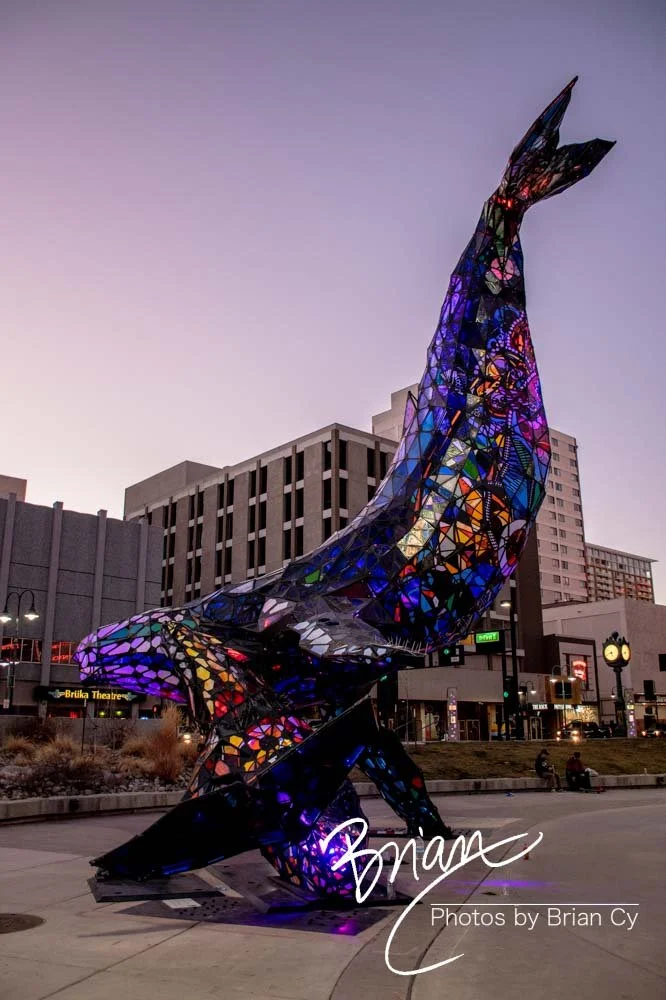 LoRes_WM_20200208_Reno_Edit-0408.jpg