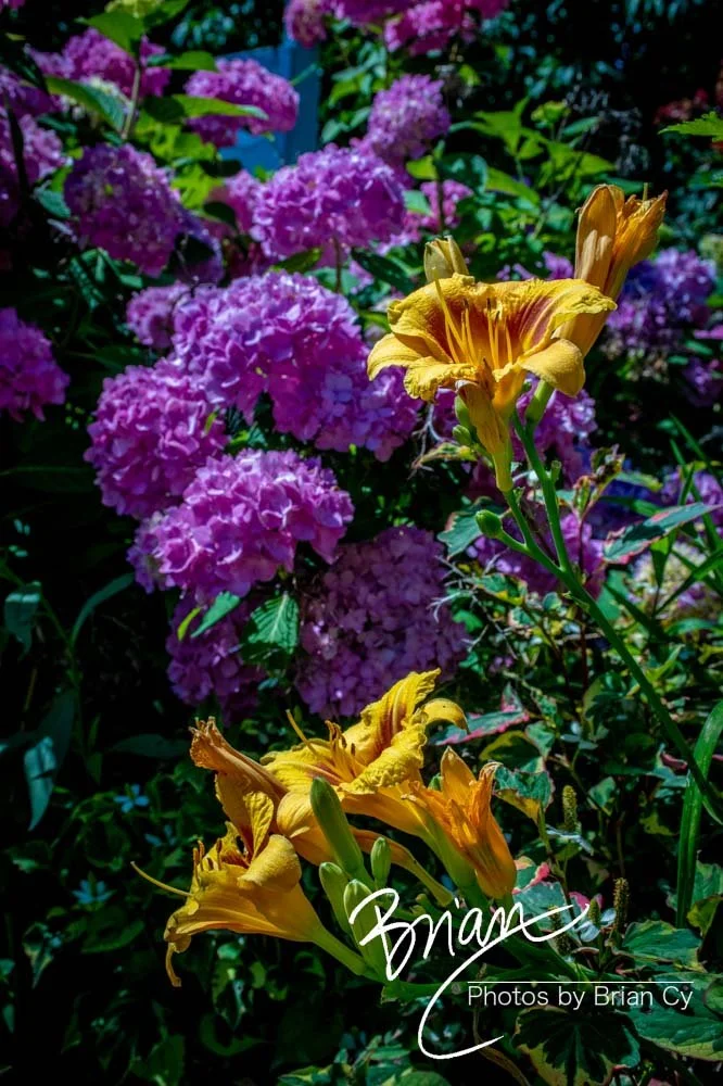 LoRes_WM_20210618_HarpersFerry_Edit-0712.jpg