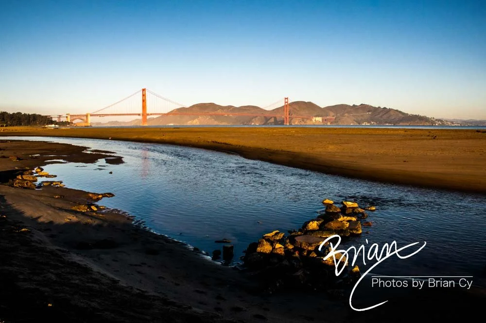 LoRes_WM_20201021_SanFrancisco_Edit-1485.jpg