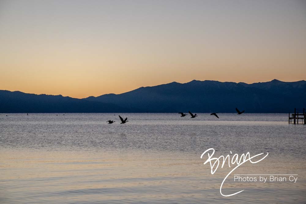 LoRes_WM_20201014_Tahoe_Edit-9202.jpg