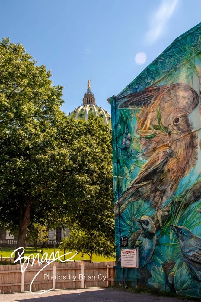 LoRes_WM_20220731_Harrisburg_Edit-5312.jpg